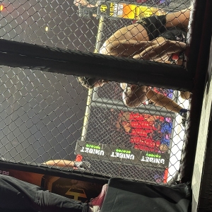 MMA