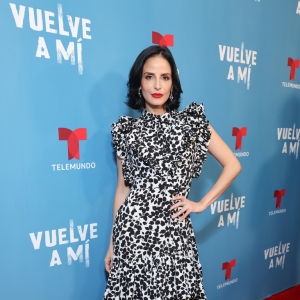 Vuelve a Mí, Red Carpet LA Premiere